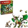 LEGO NINJAGO 01/2026 71849 71850 71866 71851 71861 71858 71853 71855 71857 71859