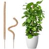 Wigearss 2 Pezz Bastone di Muschio, Palo Cocco Piante Sostegno Piante Supporti, Pieghevoli Fibra di Cocco, Tutore Muschiato per Monstera Rampicanti, 70cm