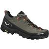 SALEWA ALP TRAINER 2 M, 42, Bungee Cord/Black