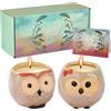 JUMBOW ABSORD Regali per mamme, compleanni, donne, regalo di compleanno per sorella, confezione da 2 simpatiche candele (gufo)