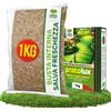 Albagarden Semi Prato Universale Resistente 40m² Per Zone Ombreggiate e Soleggiate Sementi