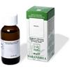 SARANDREA MARCO &C. Srl Sarandrea Lavanda Tintura Madre, 100ml