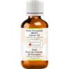 Greenwood Essential Puro Olio Di Fieno greco (Methi) (Trigonella Foenumgraecum) Spremuto a Freddo 30ml (1 oz)