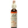 SCHWABE PHARMA ITALIA Srl Rock Rose Fiori di Bach® Originali 20ml