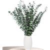 Aufisi Decorazione di eucalipto Aufisi - 22 pezzi di eucalipto essiccato (43 cm+), eucalipto essiccato per decorazione, matrimoni, accessori per la casa, composizione floreale essiccata, verde