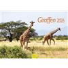 Edition Seidel Calendario di alta qualità con giraffe 2026, formato DIN A4, calendario da parete con animali, Africa, Sudafrica, Kenya, Serengeti, steppa, savana, giraffa, mucche, animali selvatici