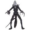 NECA Alien - Action figure da 17,8 cm, con artigli di rasoio Alien vs. Predator, grigio, stampato, 100% plastica