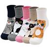 ZFSOCK Calzini Donna Carini Animali: Calzini Donna Cotone Divertenti Cartoni Animati Cavallo Calzini Novità Crew 5 Paia Regalo Perfetto per Donne