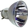 OSRAM P-VIP 240 / 0.8 E20.9N - Lampada del proiettore senza alloggiamento per vari proiettori