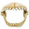AMTRA Denti di Squalo M