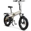 Nilox, Ebike X10, Bici Elettrica Pieghevole, Fino a 70 km di Autonomia, Fino a 25 Km/h, Motore da 36 V/250 W e Batteria Removibile 36V-13 Ah, Gomme FAT 20x4, Cambio a 6 Velocità, Colore Grigio