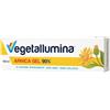 PIETRASANTA PHARMA SPA VEGETALLUMINA ARNICA GEL 90%