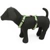 PET AROUND YOU Pettorina Reflective Nylon Verde XS