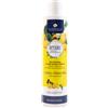 Alkemilla - Shampoo Bio Cedro e Finocchio Confezione 250 Ml