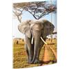 RNKVERLAG 45377 - Cartella per disegni elefante 310 x 440 mm, cartella per documenti DIN A3, con chiusura elastica, 1 pezzo