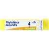 BOIRON Phytolacca de boi*5ch 80gr - BOIRON - 045879044