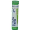 BOIRON Cocculus indicus 5ch gr - BOIRON - 800022030