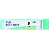 BOIRON Ruta grav boi*6ch gr 4g - BOIRON - 046363038
