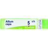 BOIRON Allium cepa boi*5ch gr 4g - BOIRON - 047591045