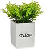 Ibergarden Pianta Decorativa Bianca Cemento plastica (8 x 18 x 8 cm)