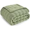 Topfinel Coperta Pile Matrimoniale,Plaid Termica Pelosa Morbida,Calda e Confortevole,OEKO-TEX,Coperta Invernale da Divano,Per Neonato e Animali Domestici (Gatti,Cani),Verde Salivia,150x200 CM