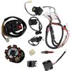 Riloer Electric Wiring Harness Wire Loom CDI Stator Kit completo, Cablaggio elettrico completo CDI 3 fori CDI Formatore statore Compatibile con ATV QUAD 150/200/250CC