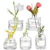 Jttxiu 5 Pz Vasetti Vetro Piccoli per Fiori, Vaso Fiori Vetros, Vaso Vetro Trasparente, Set Vasi Decorativi per Centrotavola Matrimonio Centrotavola Moderno Design Casa Decorazioni