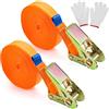 BANTI Cinghie di serraggio con serratura a cricchetto, 10 m, cinghie a cricchetto, larghezza 25 mm, con cinghia di fissaggio a cricchetto, cinghie di fissaggio regolabili per carico fisso, 2 pezzi