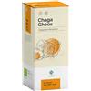 GHEOS Srl chaga gheos 60 capsule da 750mg