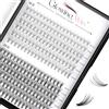 Glowing Win Ciglia Finte Ciuffetti Naturali Extension Ciglia fai da te 0.07C Mixed 10D+20D 8-14mm 228PCS Singole Ciglia Professionale Individual Cluster Lashes Riutilizzabili Cat Eye Eyelashes