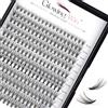 Glowing Win Ciglia Finte Ciuffetti Naturali Extension Ciglia fai da te 0.07C 20D 8-15mm 228PCS Singole Ciglia Professionale Individual Cluster Lashes Extensions Riutilizzabili Cat Eye Eyelashes