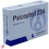 BIOGROUP SPA SOCIETA' BENEFIT PSICOPHYT REMEDY 23A 4 TUBI 1,2 G