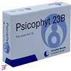 BIOGROUP SPA SOCIETA' BENEFIT PSICOPHYT REMEDY 23B 4 TUBI 1,2 G