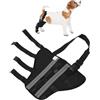 CAPASTEC Supporto per Zampa Posteriore Destra del Cane Nero 1 Pc SBR | XS, Circonferenza Zampa 17-20cm, Articolazione 11-13cm, Piede 7-10cm, Altezza 16cm, Benda Traspirante Recupero