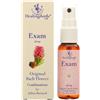 NATUR Srl Exam Spray Orale Healing Herbs® 20ml