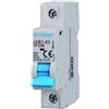 Ettroit Interruttore automatico magnetotermico modulare 1P 50A 6KA 220V Ettroit