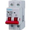 Ettroit Interruttore sezionatore modulare compatto 2P 100A 220V Ettroit