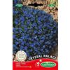 Germisem Crystal Palace Semi di Lobelia 0.3 g