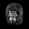 Maschera Gorilla con pelo in lattice