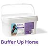 Nbf Lanes buffer up horse polvere appetibile 20 buste 30 gr
