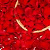 Miofula Petali di Rosa San Valentino per Lei, Rosa Eterna Proposta di Matrimonio Decorazione di Fidanzamento per Romanticismo, Decorazione di Nozze Anniversario Natale, Rose Rosse Idee Regalo Donna Compleanno