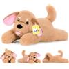 shownicer Animal lesté cane - 2,2 kg - Peluche lesté - Grande peluche XXL - Golden Retriever - Cuscino in peluche - Regalo per adulti e bambini dai 3 anni in su (cane, 65 cm)
