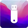 D-S Systems Installazione USB Compatibile con macOS 12 Monterey