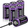 Mspalocell 1,5V Batterie D USB-C Ricaricabili LR20 8800mAh Litio Batterie Carica rapida Type-C con Cavo Ricarica, Bassa autoscarica, con Luce Ricarica, 1500+ Cicli, 6 pezzi