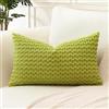 Artscope Federe Cuscini in Velluto a Coste per Divano 40x60cm Copricuscini di Bolla Geometrico Decorativa per Salotto Moderno Cuscino per Camera da Letto, Verde