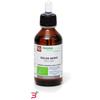 FITOMEDICAL SRL GELSO NERO MACERATO GLICERICO 100 ML BIO