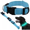 PARENCE - Collare LED regolabile per cani 36-59 cm - 3 modalità di luce, sicurezza notturna, collare luminoso per cani e gatti, visibile da 500 m, impermeabile, con batterie CR2016 - Blu