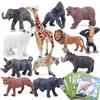 SIENON 12 statuette di animali safari in plastica, realistici, animali della giungla, elefante, leone, giraffa, orso, gorilla, con carte educative, giocattolo educativo per bambini, decorazione per