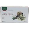 Ligne de Plantes Ligne Hepa 20 Ampolle Ligne de Plantes