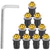 Tomotato Kit Viti Bulloni Parabrezza Moto 10 Pezzi, M5x16mm Bulloni di Montaggio Corpo Parabrezza Moto Universale Dadi con Chiave(Golden)